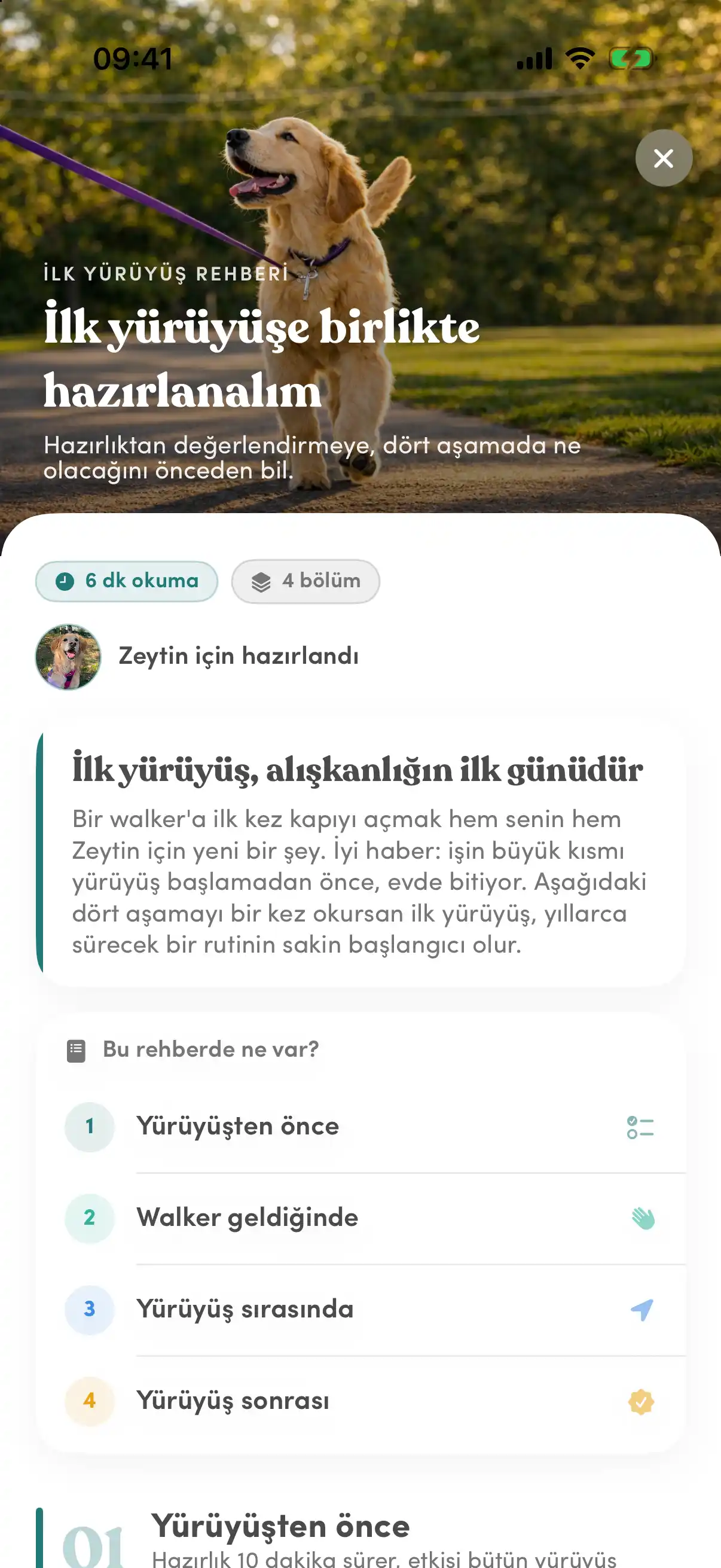 «Sana özel» ilk yürüyüş rehberi: köpek fotoğrafının üstünde başlık, okuma süresi ve dört bölümlük içerik listesi.